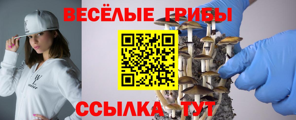 Галлюциногенные грибы MAGIC MUSHROOMS  Вход с VPN  Моздок 