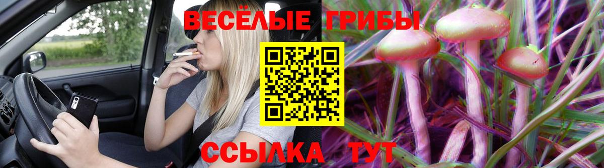 Галлюциногенные грибы Cubensis Моздок